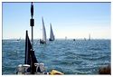 Tabarly_50eme