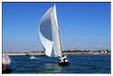Tabarly_50eme