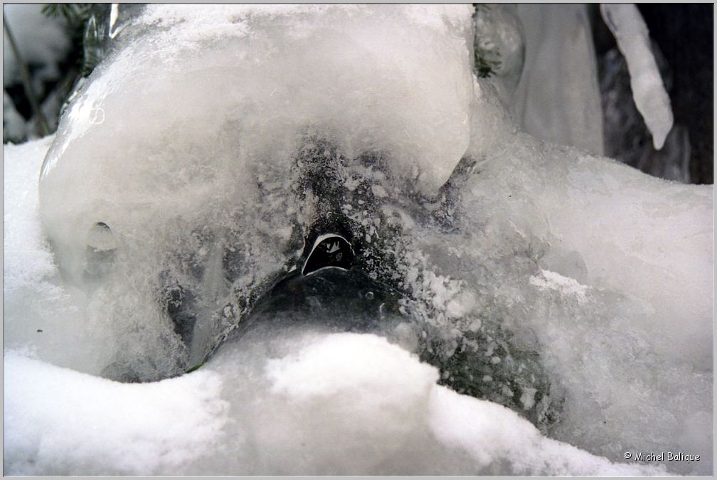 Hiver 2005 07