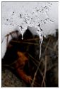 Hiver 2010 09