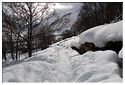 Hiver 2010 11