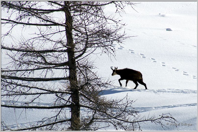 Hiver 2014 18