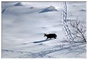 Hiver 2014 19