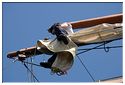 Démontage des voiles