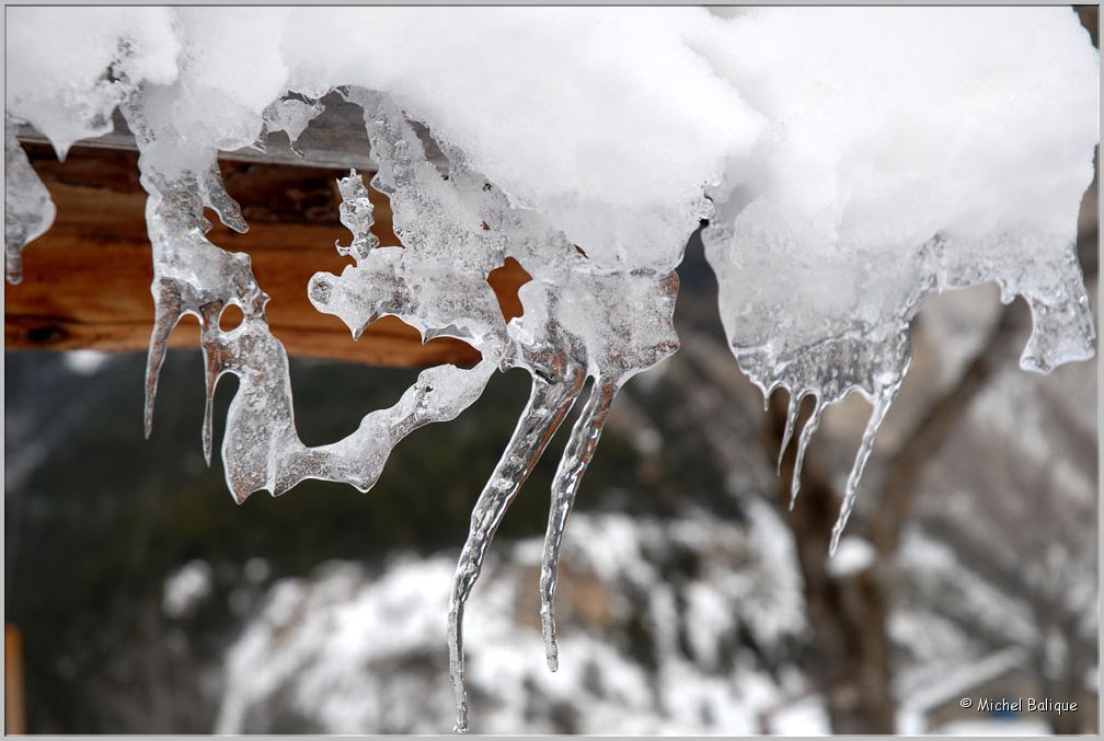 Hiver 2013 05