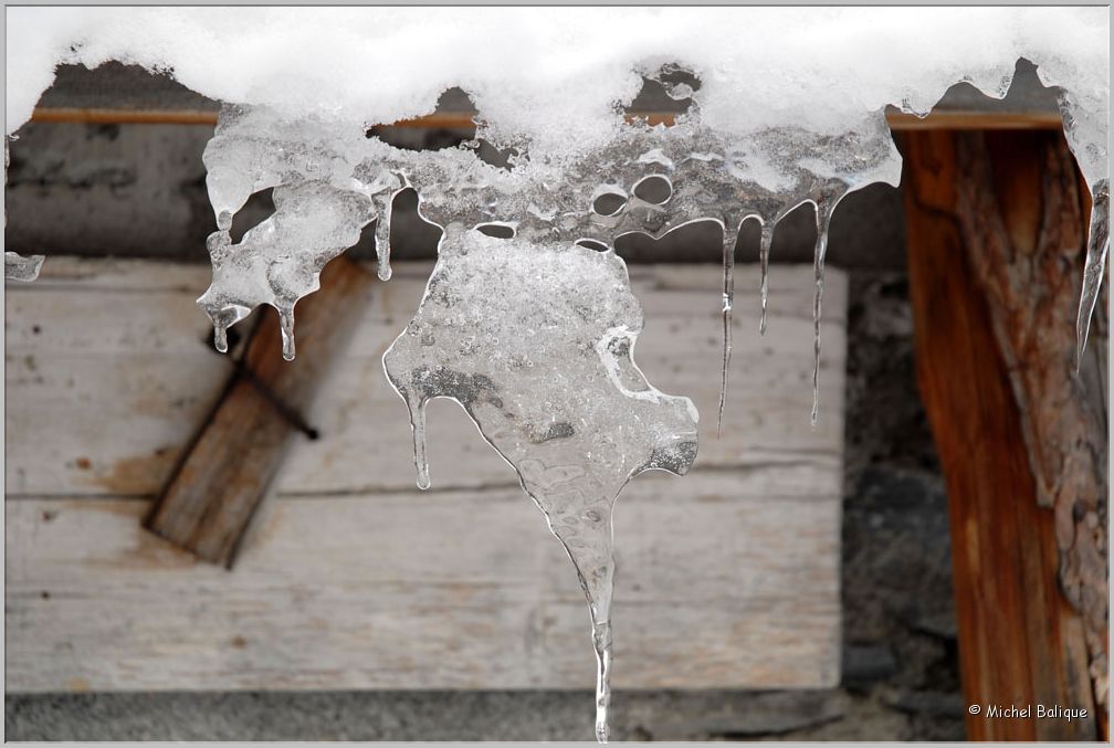 Hiver 2013 06