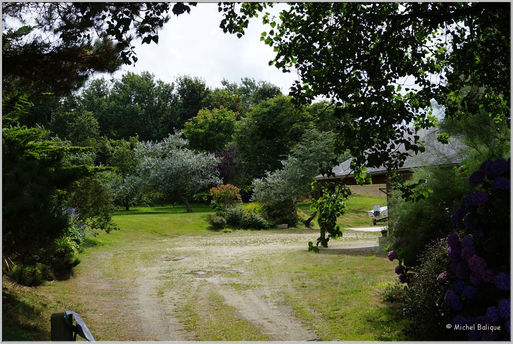 DSC02083