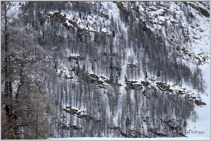 MIG_5436