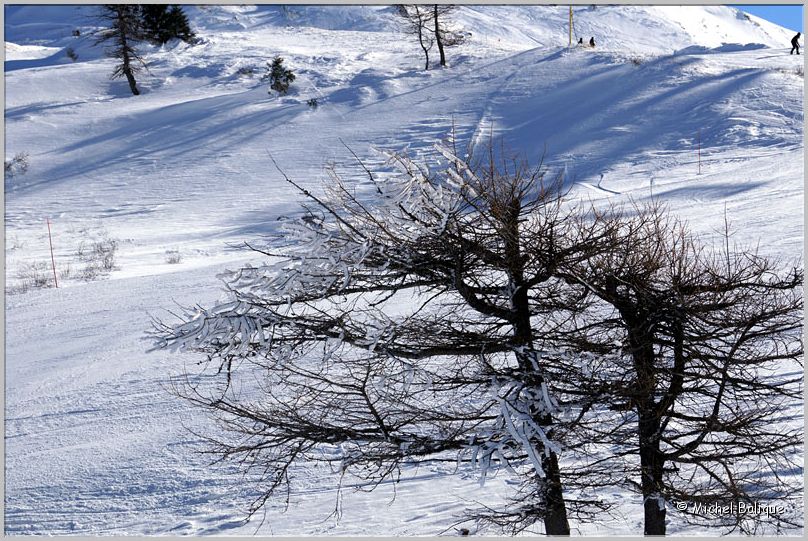 Hiver 2014