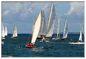 Lissac Classic 2013