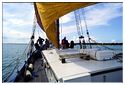 Lissac_Classic_2014