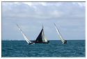 Lissac_Classic_2014