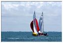 Lissac_Classic_2014