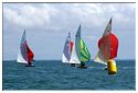 Lissac_Classic_2014
