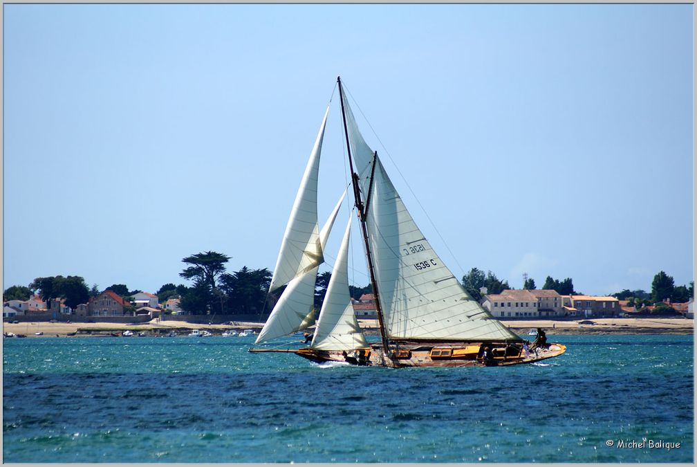 Lissac_Classic_2014 Pen Duick