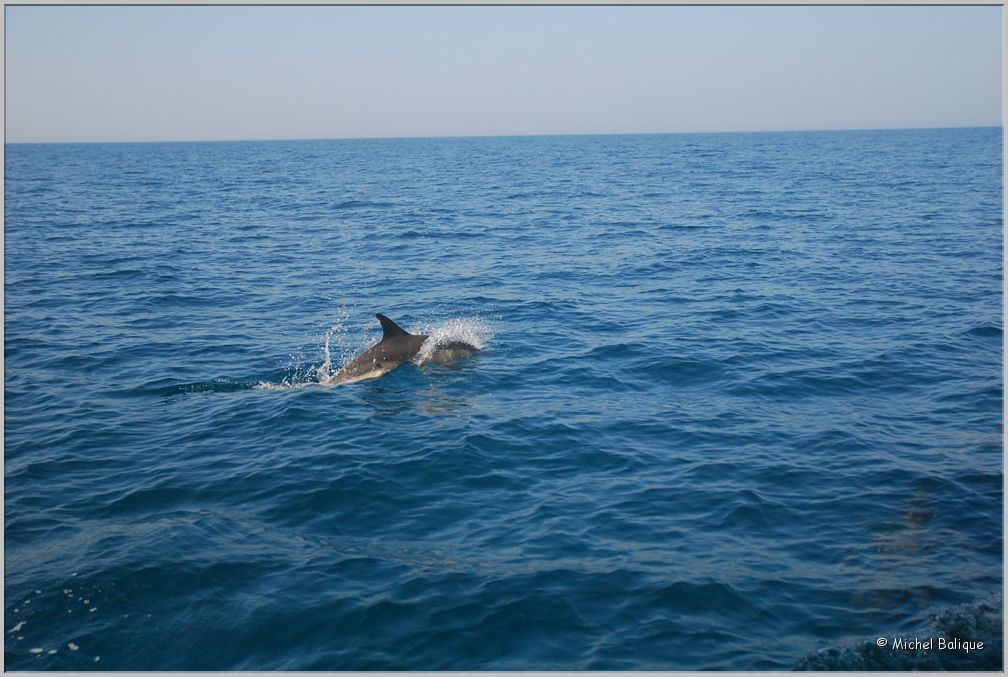 Lola_2010_St_Denis_d'Oleron-Yeu001