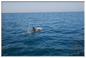Lola_2010_St_Denis_d'Oleron-Yeu001