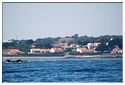 Lola_2010_St_Denis_d'Oleron-Yeu001