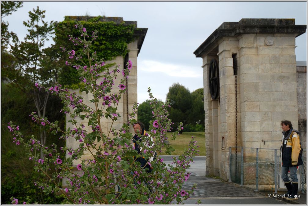 Lola_2011_3eme_jour_Fort_de_l'île_d'Aix