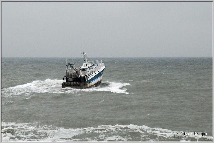 h Port en Bessin 2008