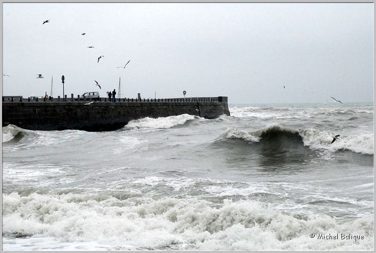 Port en Bessin 2008