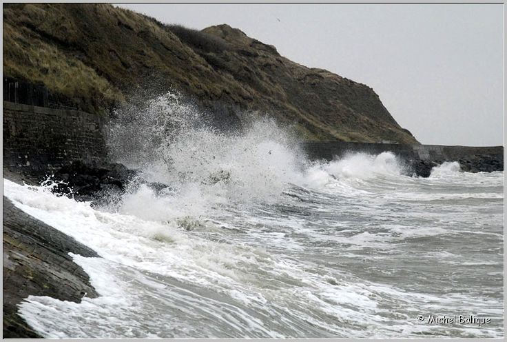Port en Bessin 2008
