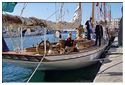 Sete_2014 Belle Lurette