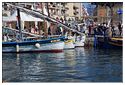 Sete_2014 Pointus