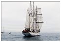 Escale_a_Sete_2016_Sortie_sur_Don_du_Vent Marité