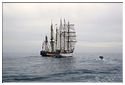 Escale_a_Sete_2016_Sortie_sur_Don_du_Vent  Shtandart Marité