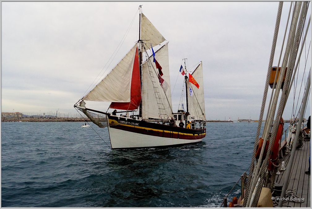 Escale_a_Sete_2016_Sortie_sur_Don_du_Vent Vieux Crabe