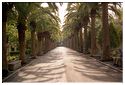 Raguse0097b