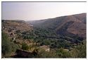 Raguse0099