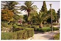 Raguse0100