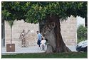 Sciacca_14
