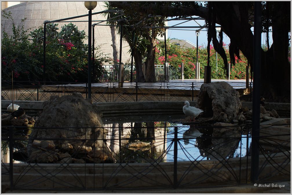 Sciacca_36