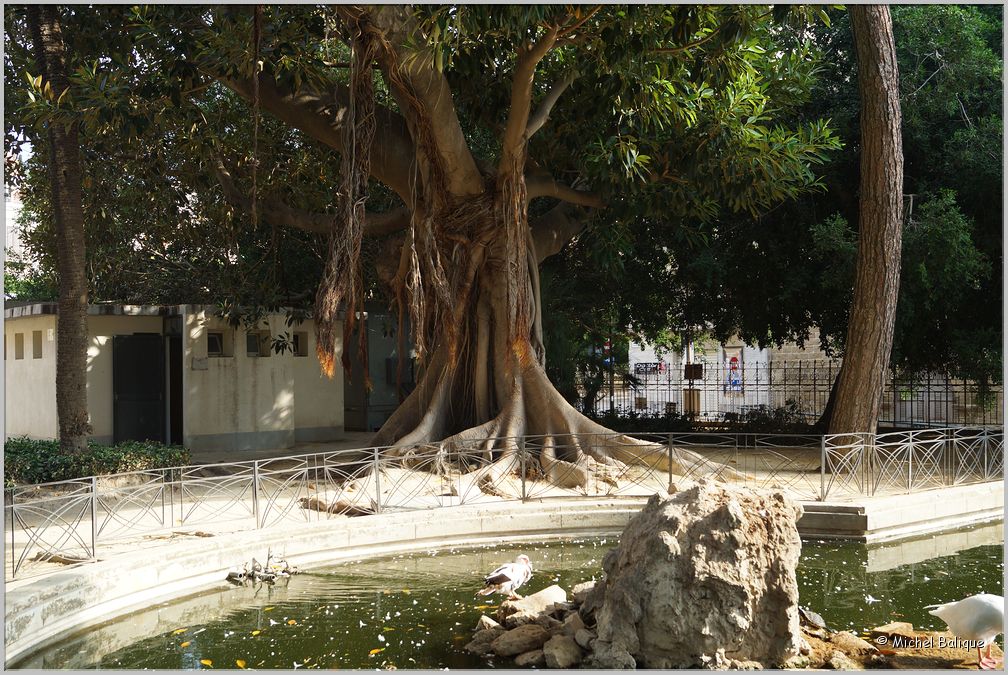 Sciacca_43