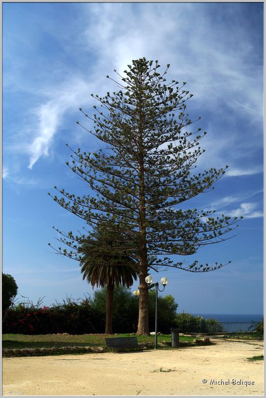 Sciacca_44