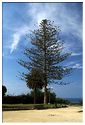 Sciacca_44