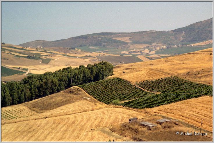 Segeste0040