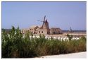 Marsala