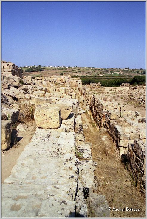 Selinunte0055c