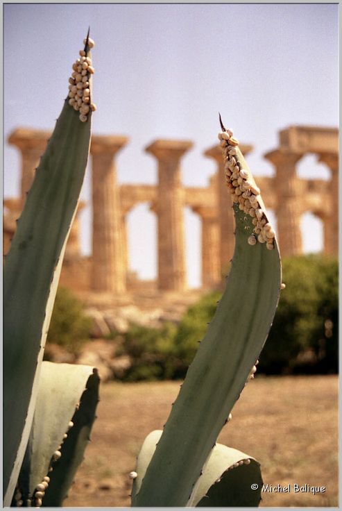 Selinunte0059