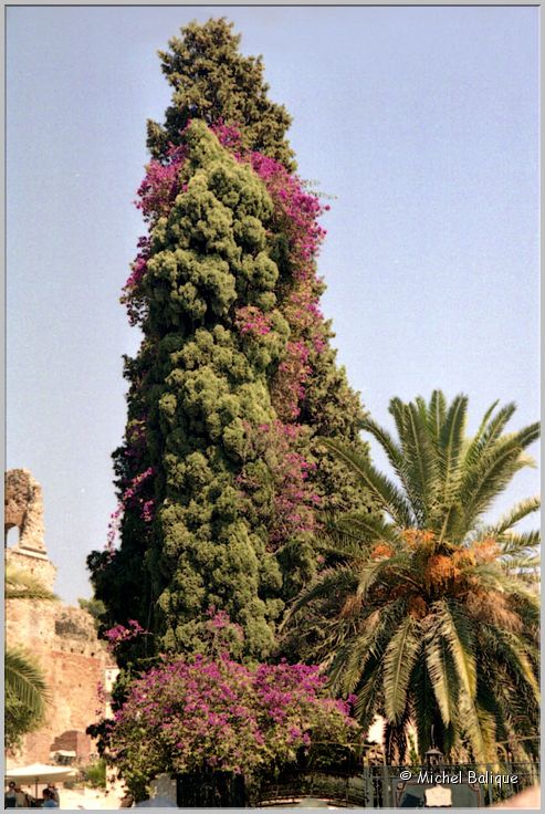 Taormine0122