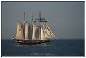 DSC09739