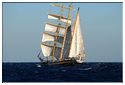 TSR Med 2013 Royal Helena