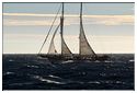 TSR Med 2013 Bodrum