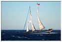 TSR Med 2013 Bodrum
