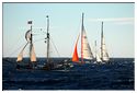 TSR Med 2013 Pandora et Orsa Maggiore