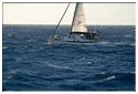 TSR Med 2013 Bellatrix